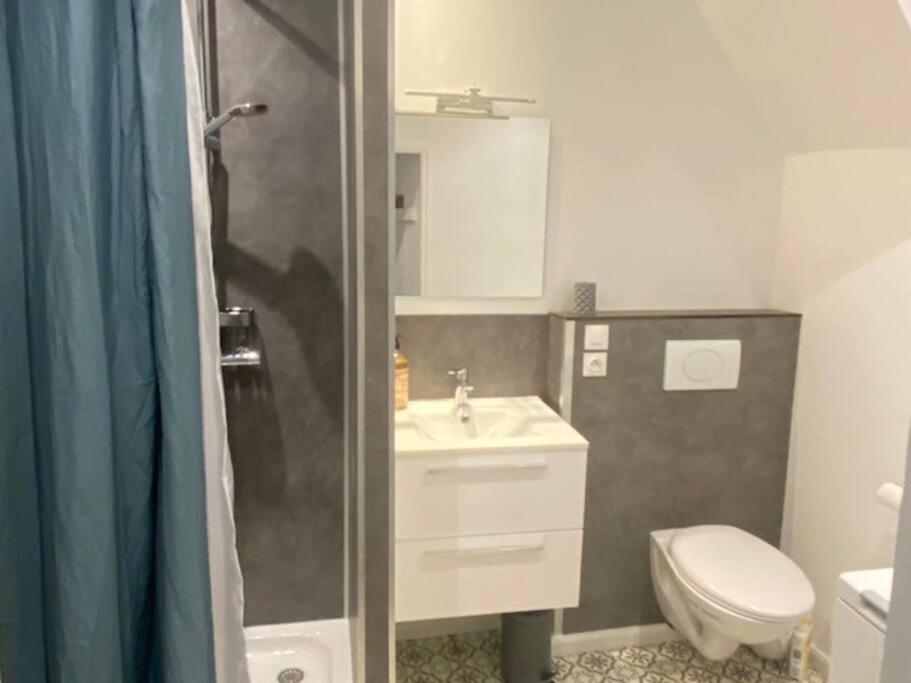 Au Petit Bragard- Triplex Proche Centre Ville แซ็ง-ดิซีเย ภายนอก รูปภาพ